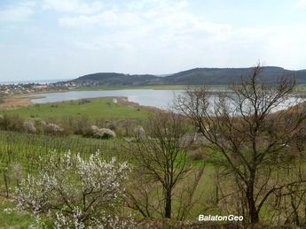 Belső-tó345