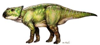 iharkut dinonap ajkaceratops kozmai