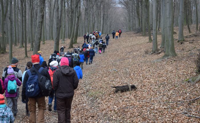 20180311 szentgali tuzkoves hegyi gt