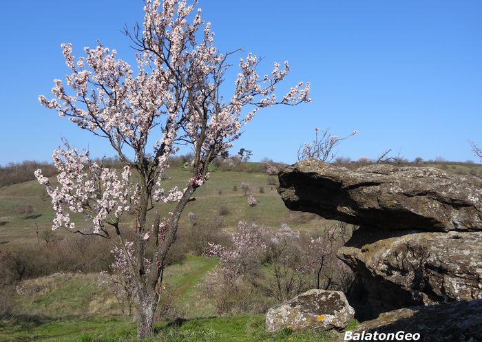 20180402 SZ szelmarta sziklak 700