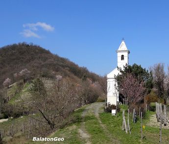 20180408 SZ Szigliget rokaranto