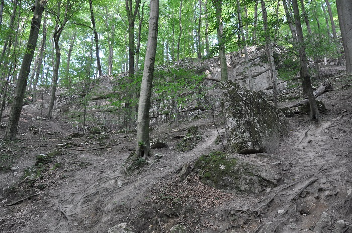 sj 20210828 04 700