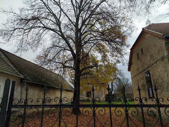 sj 20231111 02 700