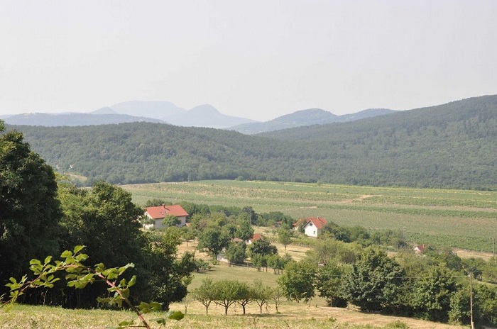 sj 20220724 02 700