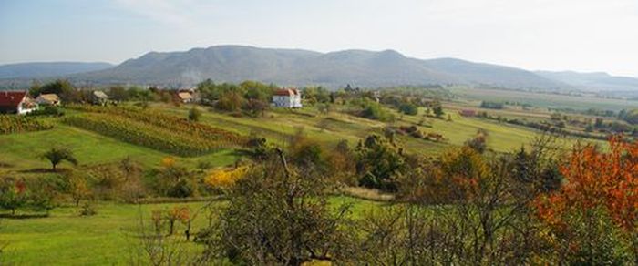 menukep Zalaszanto Szolohegy Sinka Gabor vagott