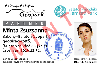 2025-06 geotura-vezeto igazolvany minta