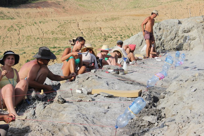 Dino-ásatás Iharkúton2 Magyar Dinoszaurusz-kutató Expedíció vagott