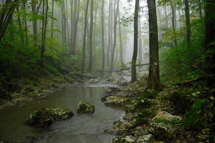 kerteskoi szurdok panoramio.com 690