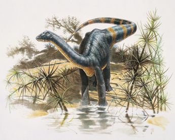 magyarosaurus 345 g 89176288 europress eza 2