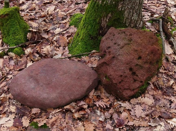 2026 02 14 fj 01 700