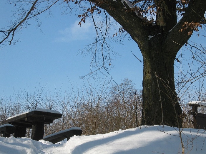 fj 2026 01 24 01 700